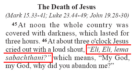 Matthew 27.46 (GNT)