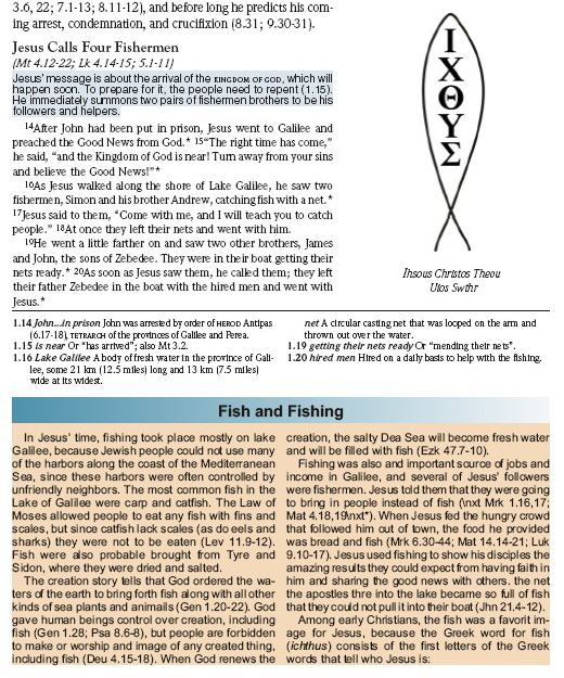 Mark 1 (CEV Learning Bible)
