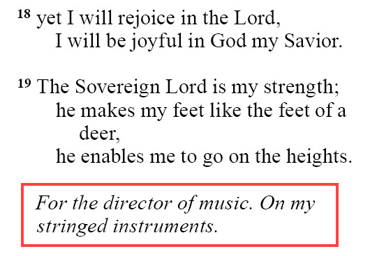 Habakkuk 3:19 (NIV)